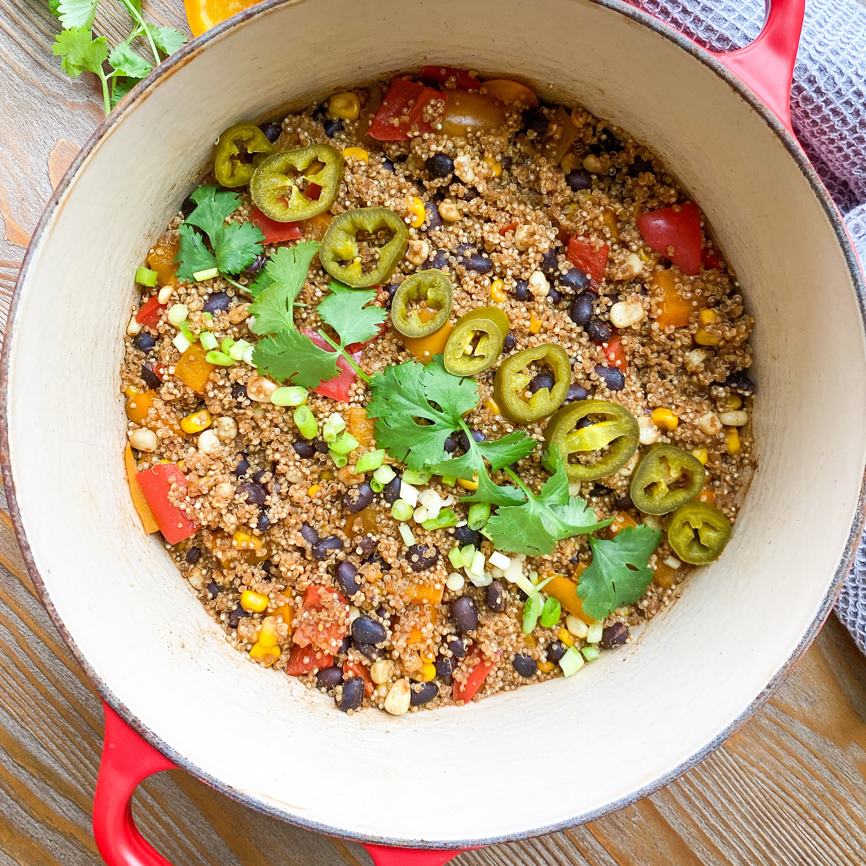 why is fibre so important