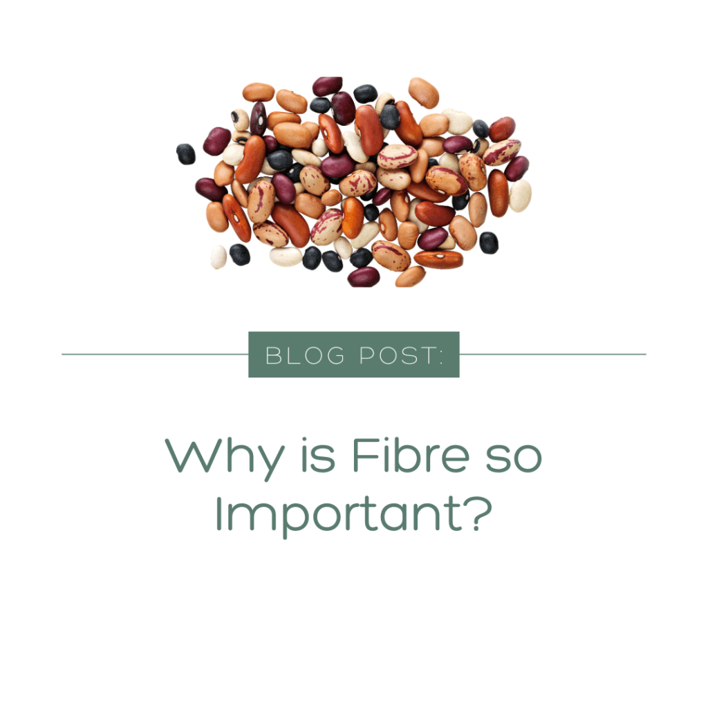 Why is fibre so&nbsp;important?