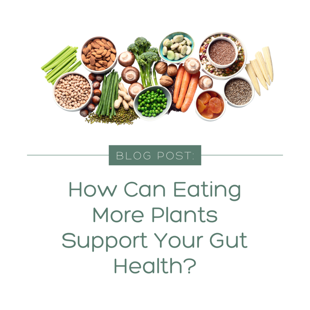 How can eating more plants support your gut&nbsp;health?